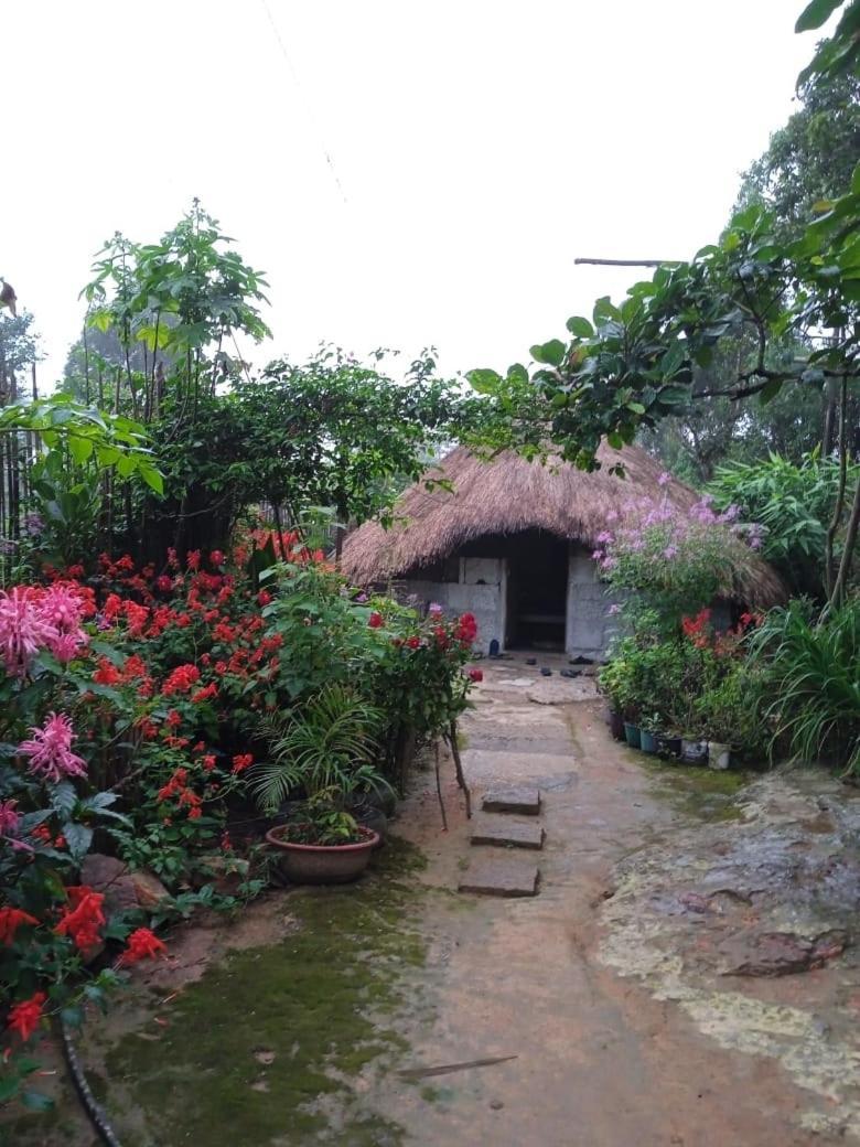 Meikha Homestay Pynursla Exteriör bild